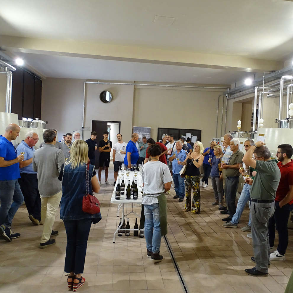 Oenology Course First Level 5-6 september 2025