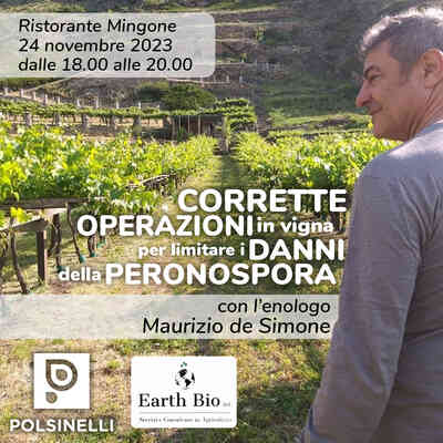 Peronospora - Focus sulle corrette operazioni in vigna