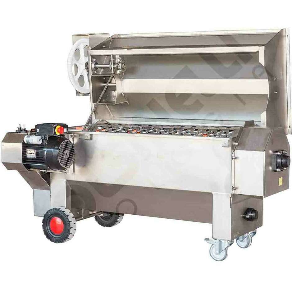 Pigiadiraspatrice Fibreno 50 Inox con pompa trifase