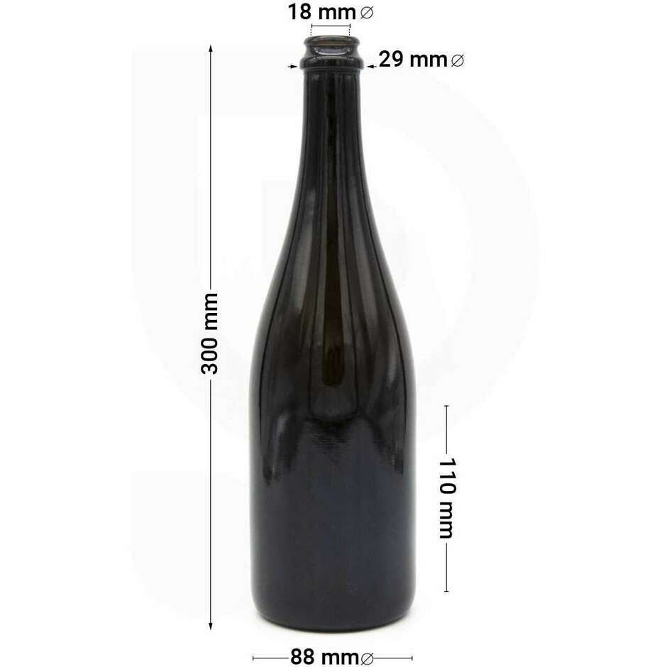 Prosecco bottle 750 ml (12 pz) Wine | Polsinelli Enologia