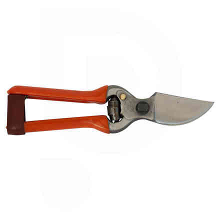 Felco 2 Pruning Shears – Tangletown Gardens