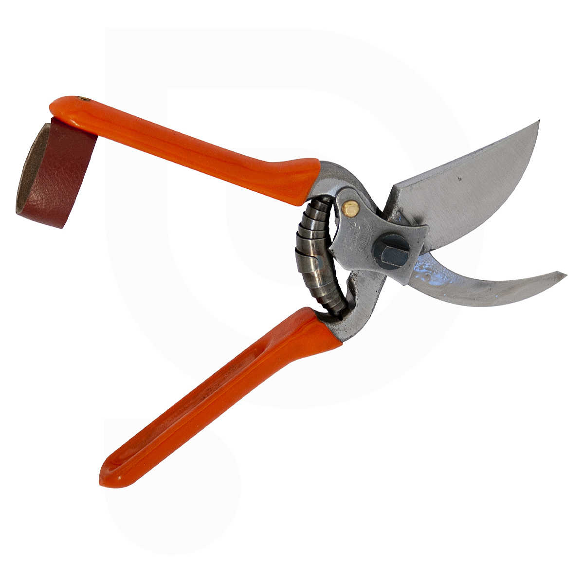 Pruning Scissors Pruning scissors Olive oil | Polsinelli Enologia