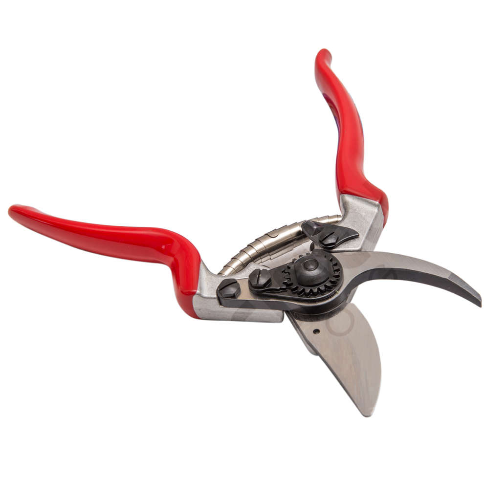 Pruning shear Felco 8 Olive oil Polsinelli Enologia