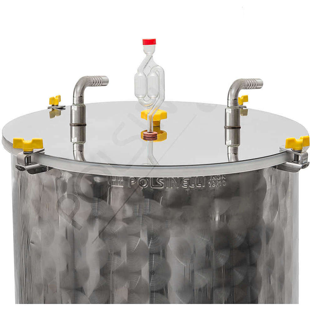 Refrigerated conical trunk beer fermenter 60° 100 L