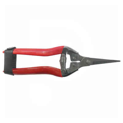 SAD pruning shear for grape harvest and garden