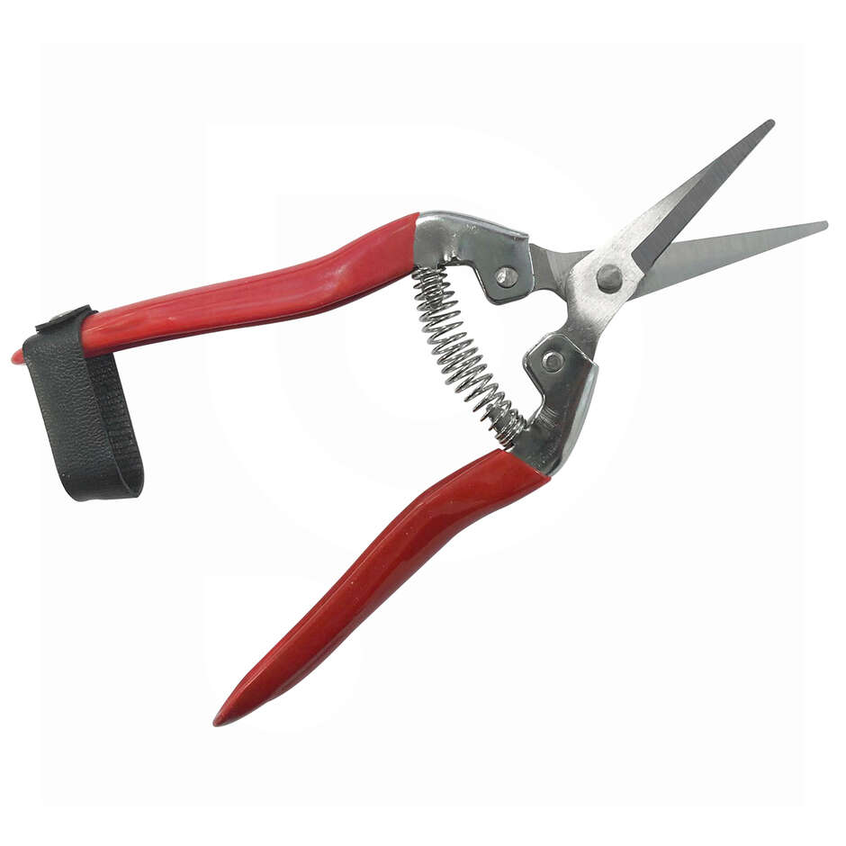 SAD pruning shear for grape harvest and garden