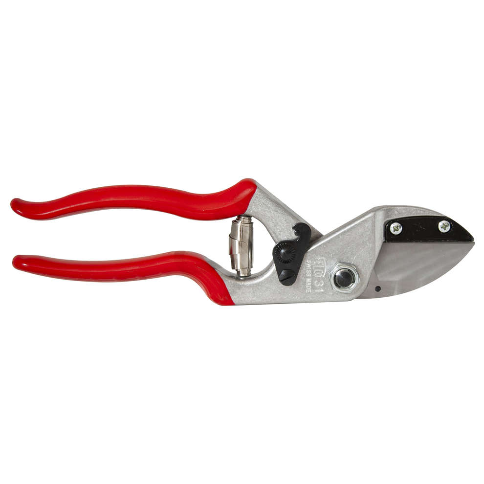 Schere Felco 31