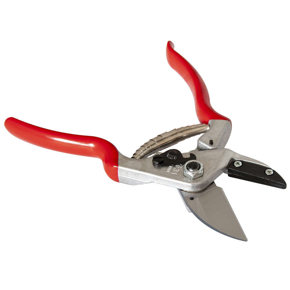 Schere Felco 31