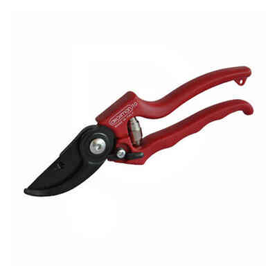 Scissor tailler la vigne Archman