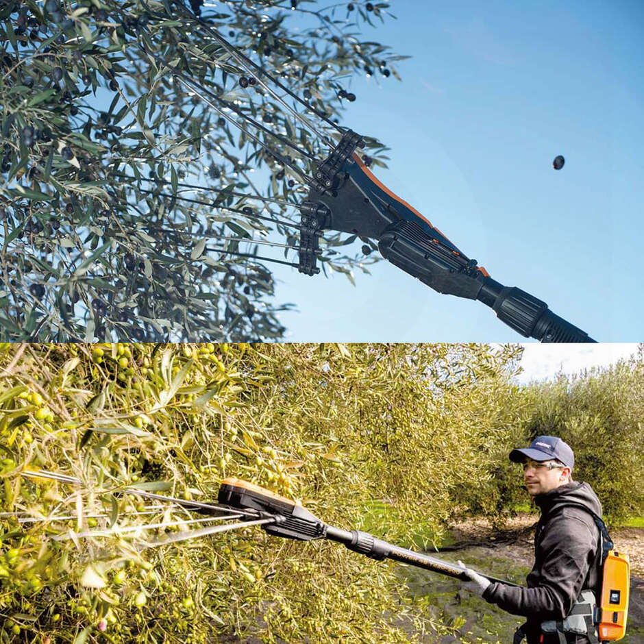 Scuotitore elettrico Pellenc Olivion Solo con asta telescopica