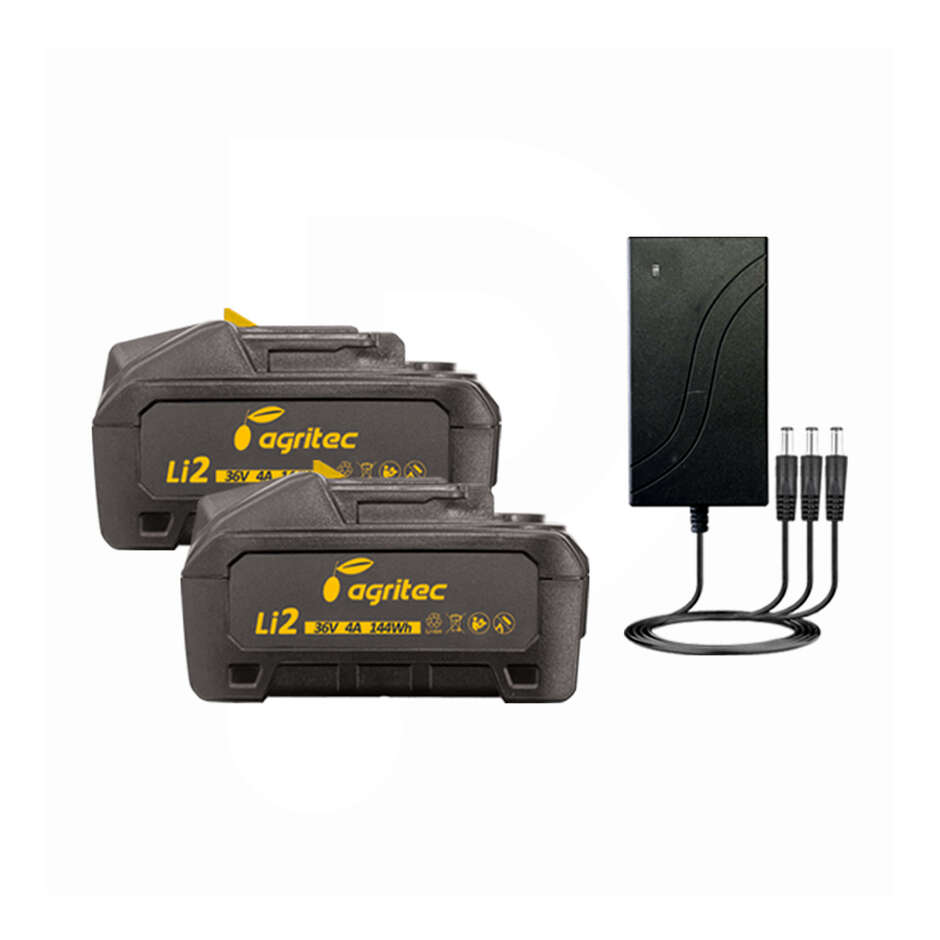 Secoueur Sans Fil Oliviero Flex PCT 36 V avec Tige Télescopique en Carbone