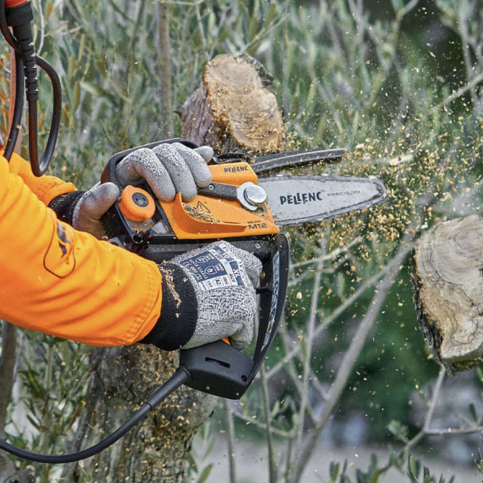 Selion M12 Evolution chainsaw with Battery kit 