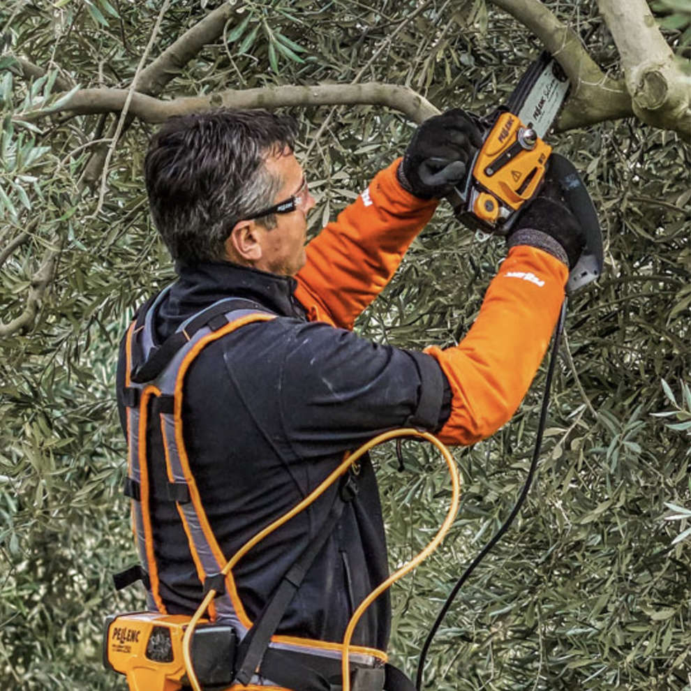 Selion M12 Evolution chainsaw with Battery kit 