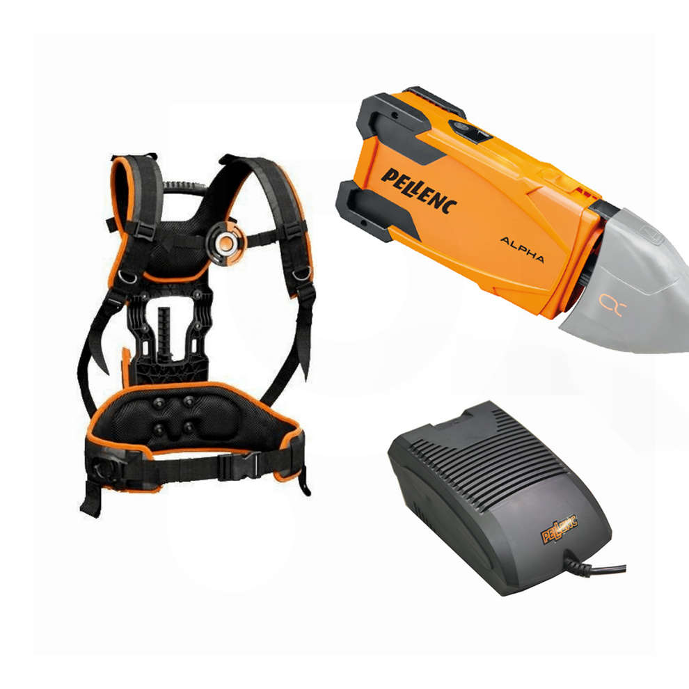 Selion M12 Evolution Motorsäge mit Batterie-Kit