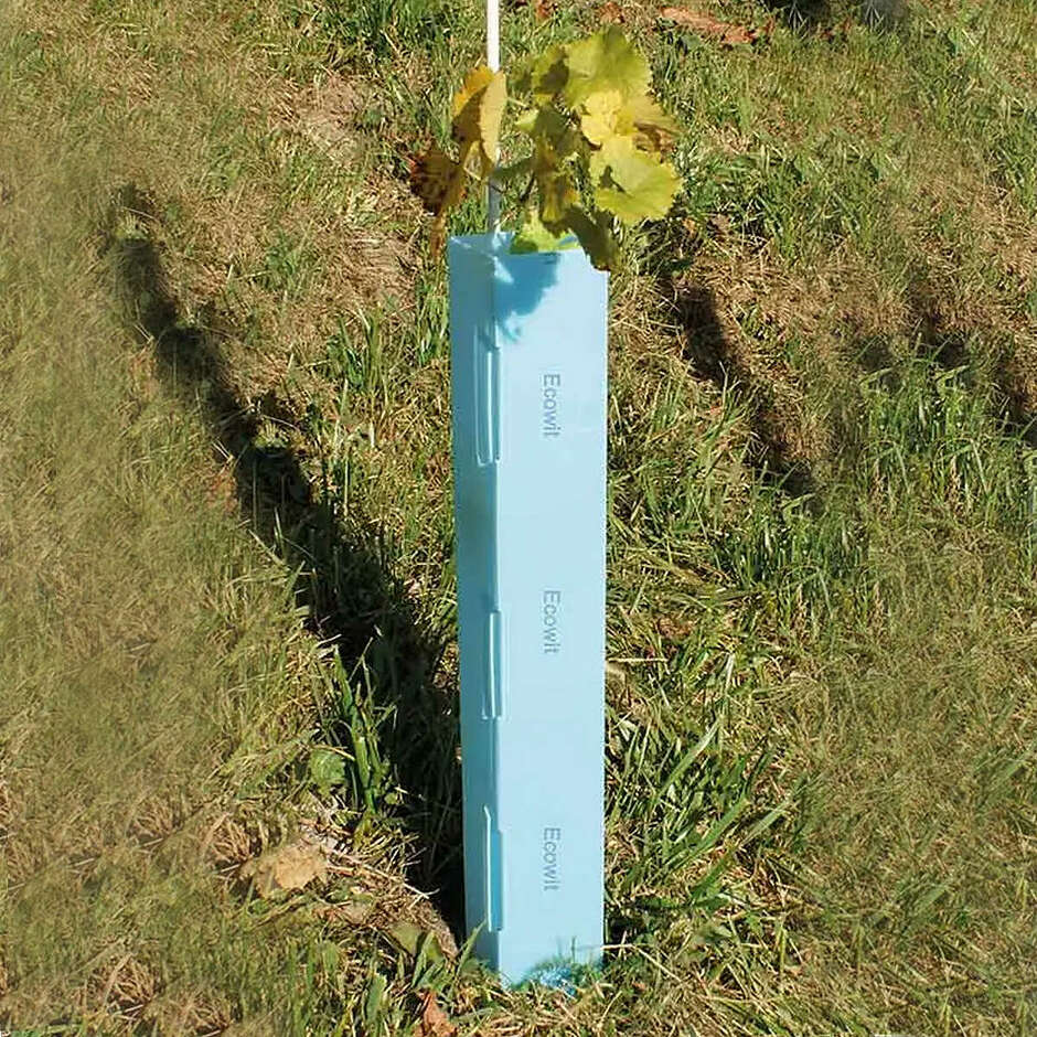 Shelter Ecowit 50x5x5 cm (25 pièces)