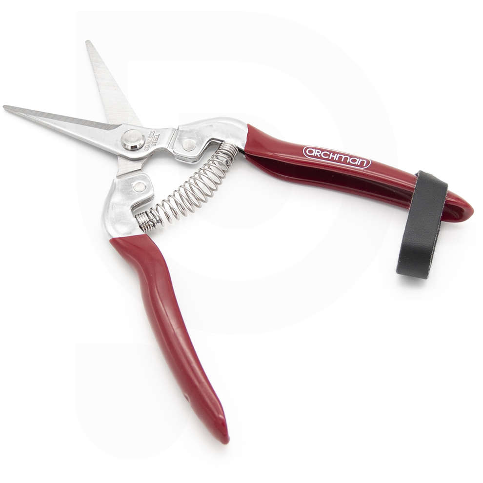 Sécateur Archman pour vendanges et jardinage
