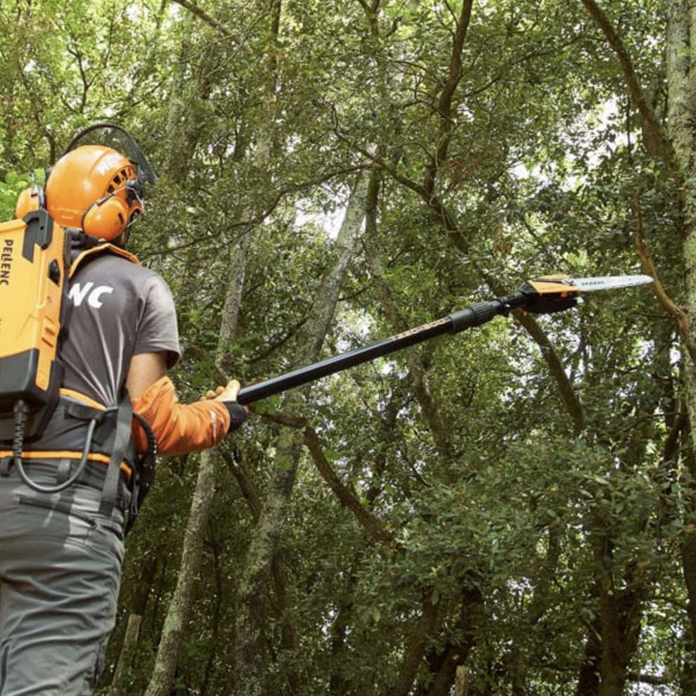 Telescopic vertical saw Pellenc SELION T220 EVOLUTION with battery kit