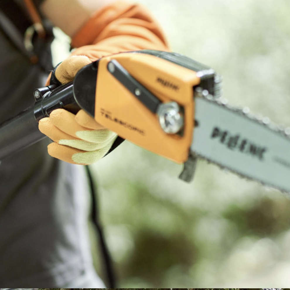 Telescopic vertical saw Pellenc SELION T220 EVOLUTION with battery kit