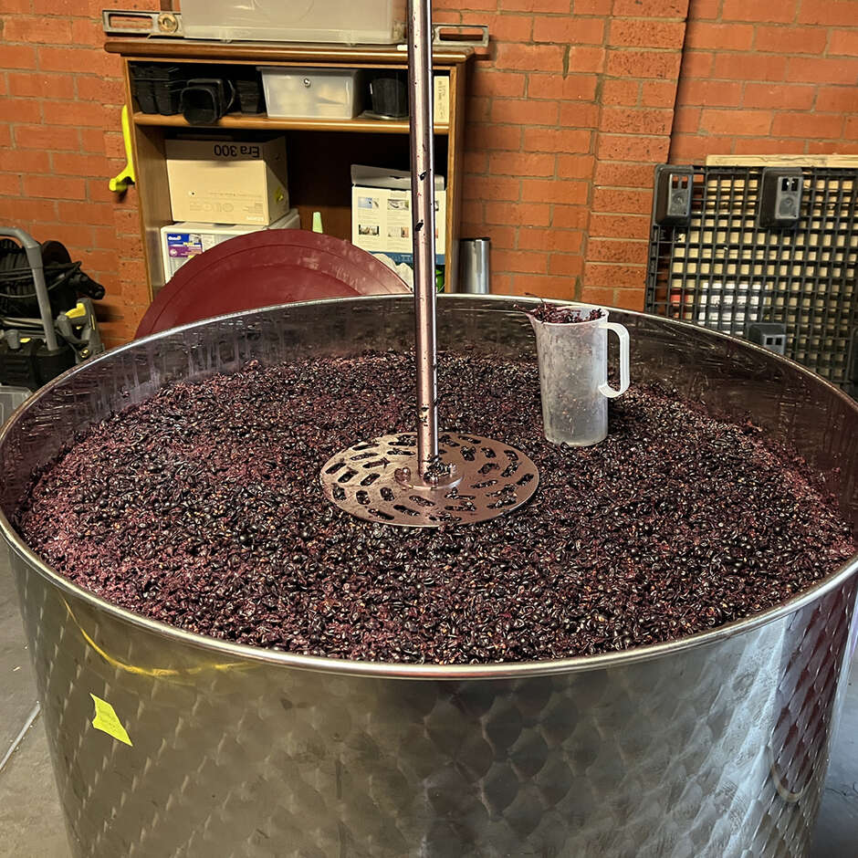 300 L Edelstahl Bottich mit konischem Boden mit Mannloch Ø 300