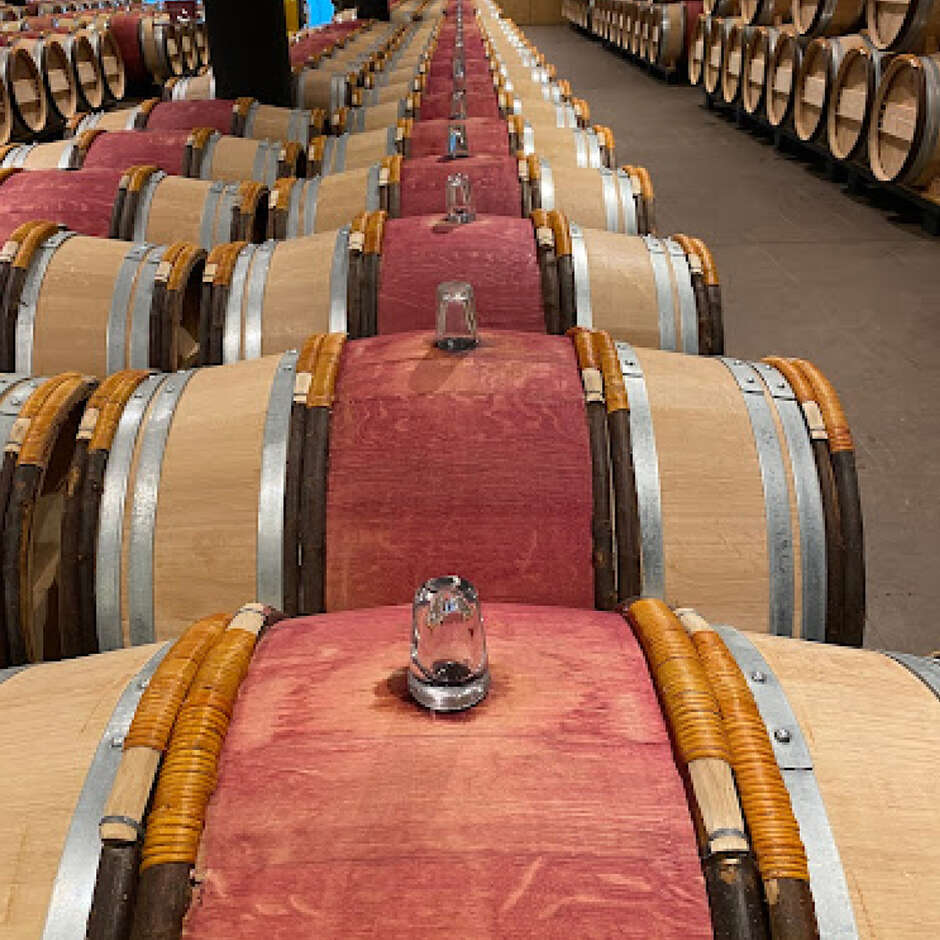 Tinte en polvo Vinocolor para teñir barricas (100 g) 