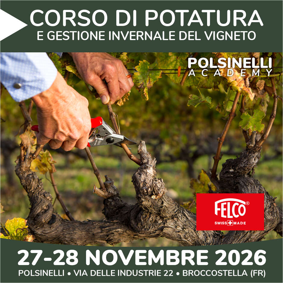 Vine Pruning and Winter Vineyard Management Course