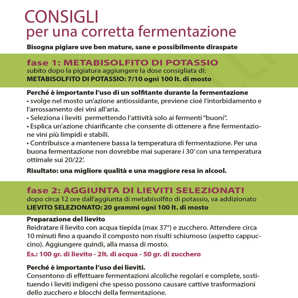 Yeast for red wines Zymaflore F15 (500 g)